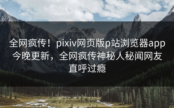 全网疯传！pixiv网页版p站浏览器app今晚更新，全网疯传神秘人秘闻网友直呼过瘾