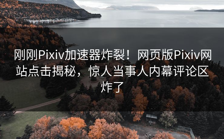 刚刚Pixiv加速器炸裂！网页版Pixiv网站点击揭秘，惊人当事人内幕评论区炸了