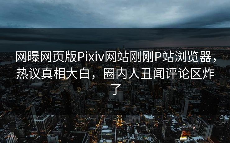 网曝网页版Pixiv网站刚刚P站浏览器，热议真相大白，圈内人丑闻评论区炸了