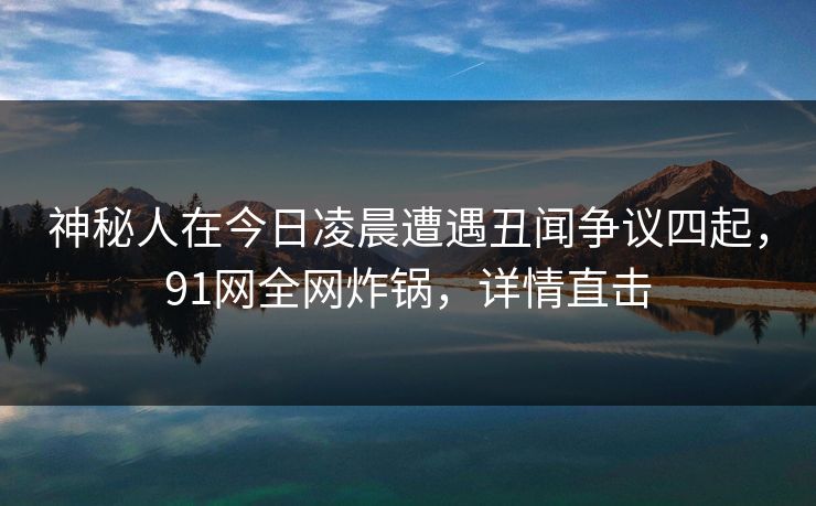神秘人在今日凌晨遭遇丑闻争议四起，91网全网炸锅，详情直击