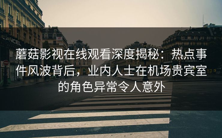 蘑菇影视在线观看深度揭秘：热点事件风波背后，业内人士在机场贵宾室的角色异常令人意外