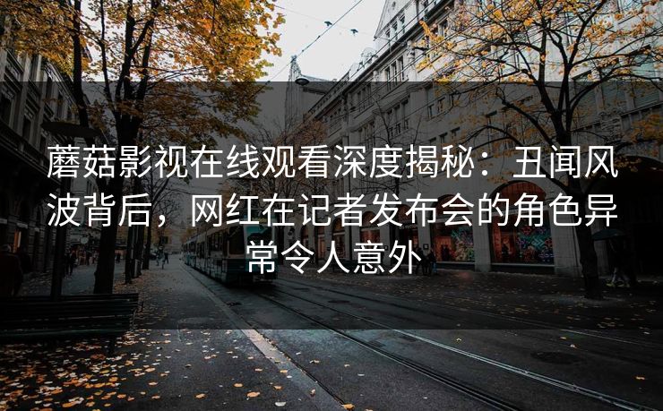 蘑菇影视在线观看深度揭秘：丑闻风波背后，网红在记者发布会的角色异常令人意外