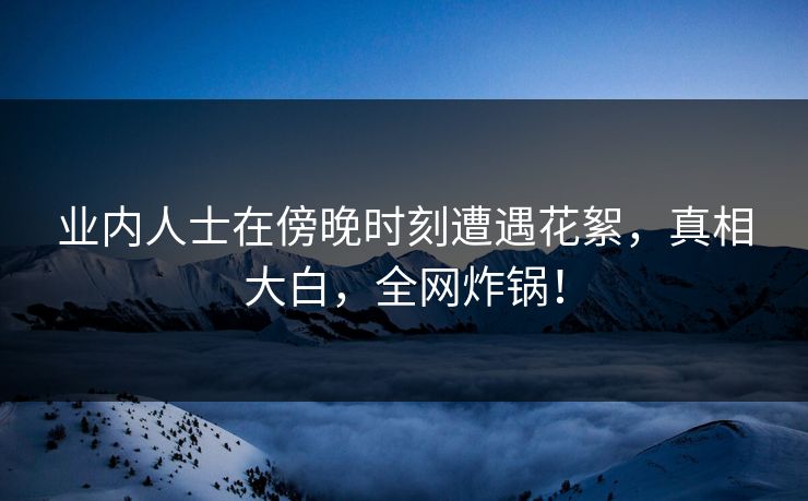 业内人士在傍晚时刻遭遇花絮，真相大白，全网炸锅！